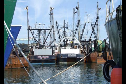 The Community Supported Fishery project was a great success